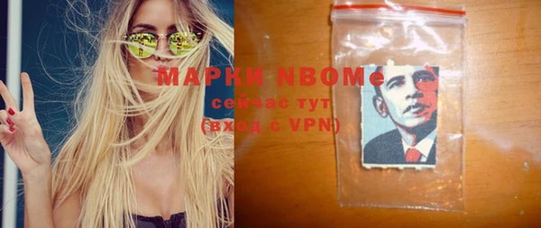 мдпв Богородск