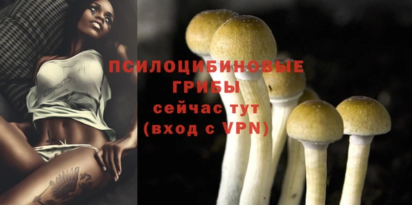 мескалин Бугульма