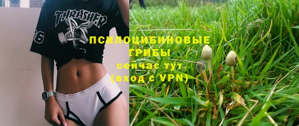 скорость Богданович