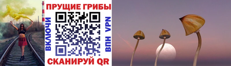 Псилоцибиновые грибы ЛСД  Суворов 